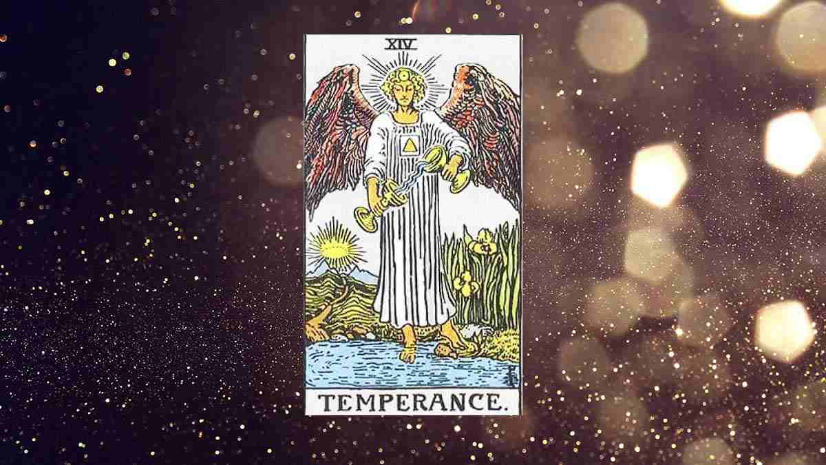 節制｜Temperance [14] 正逆位愛情、工作、金錢、健康牌義解析